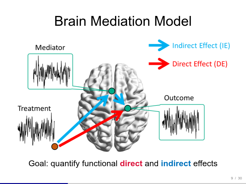 <p>Causal Mediation Analysis for Functional Data</p>
