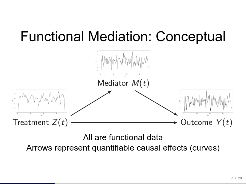 <p>Causal Mediation Analysis for Functional Data</p>
